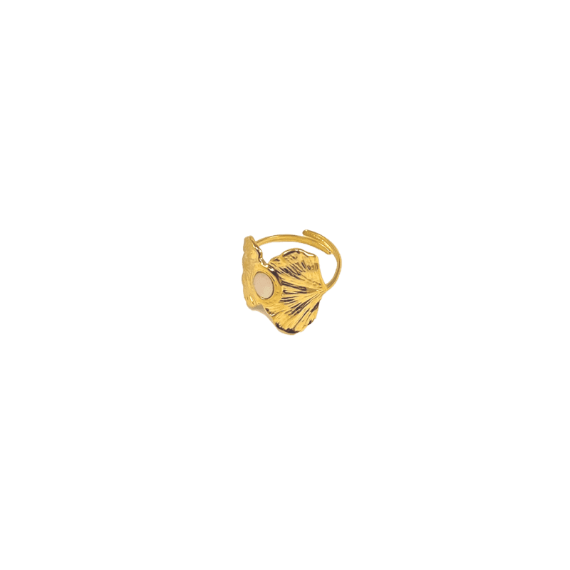 bague-acier-inoxydable
