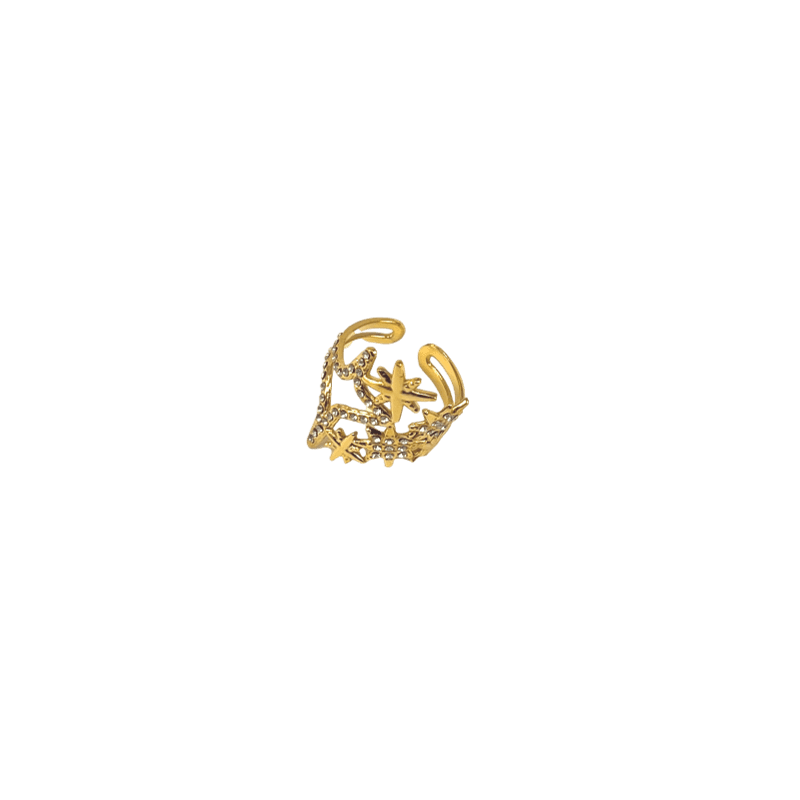 bague-acier-inoxydable