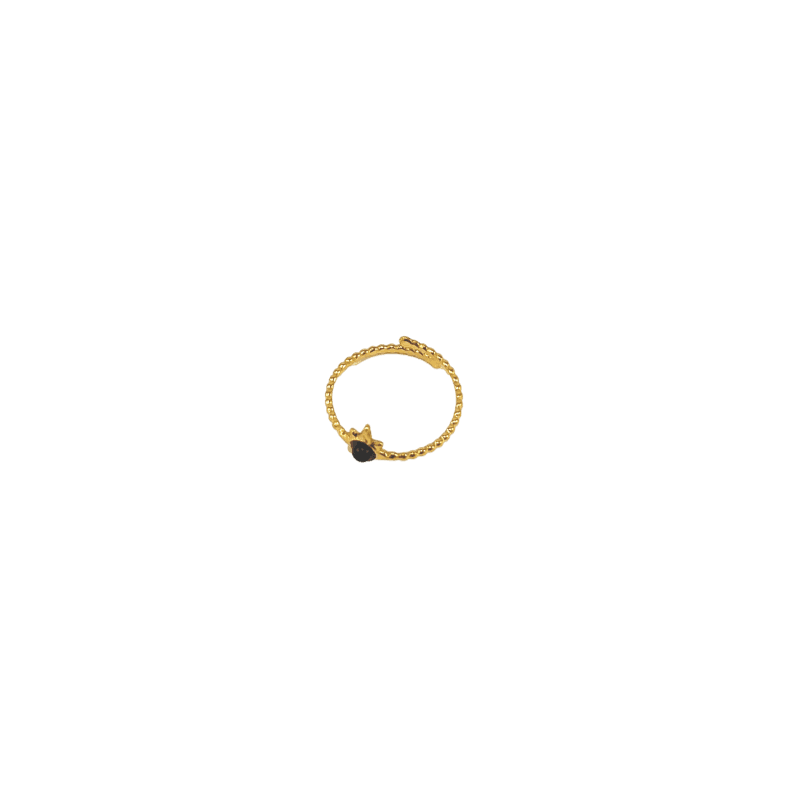 bague-acier-inoxydable
