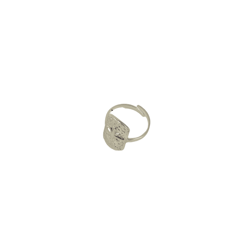 bague-acier-inoxydable